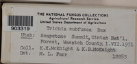 Image Associated With the Occurence